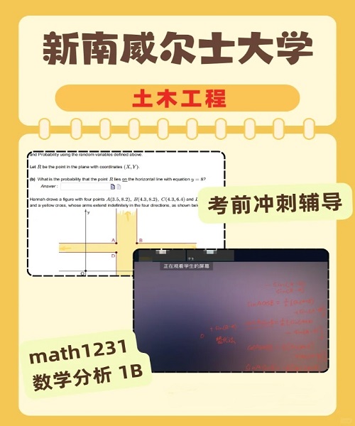 新南威爾士大學(xué)math1231考前沖刺輔導(dǎo).png