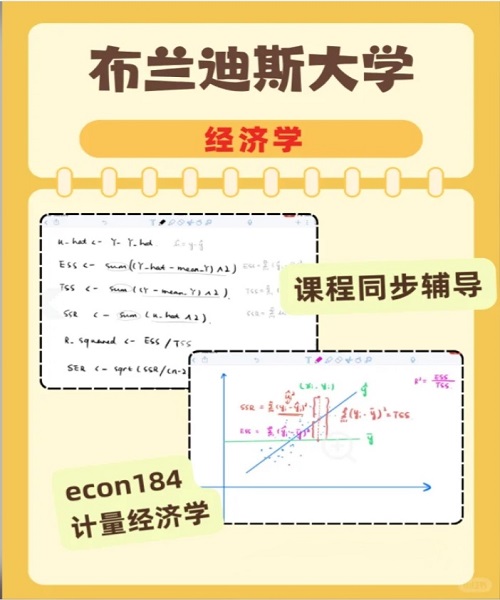 布蘭迪斯大學(xué)經(jīng)濟(jì)學(xué)econ184課程同步輔導(dǎo).png