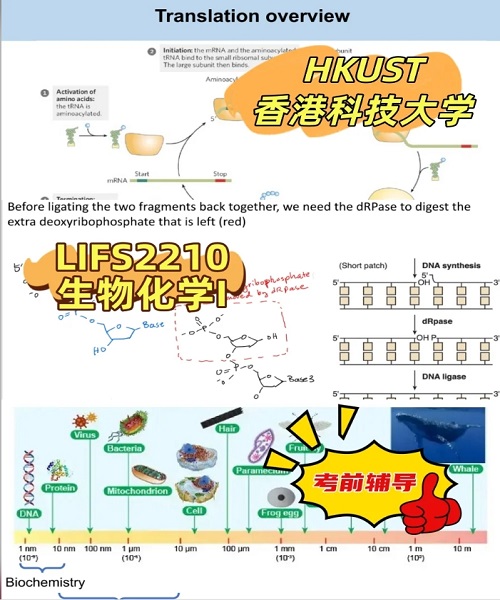 香港科技大學(xué)LIFS2210考前輔導(dǎo).png